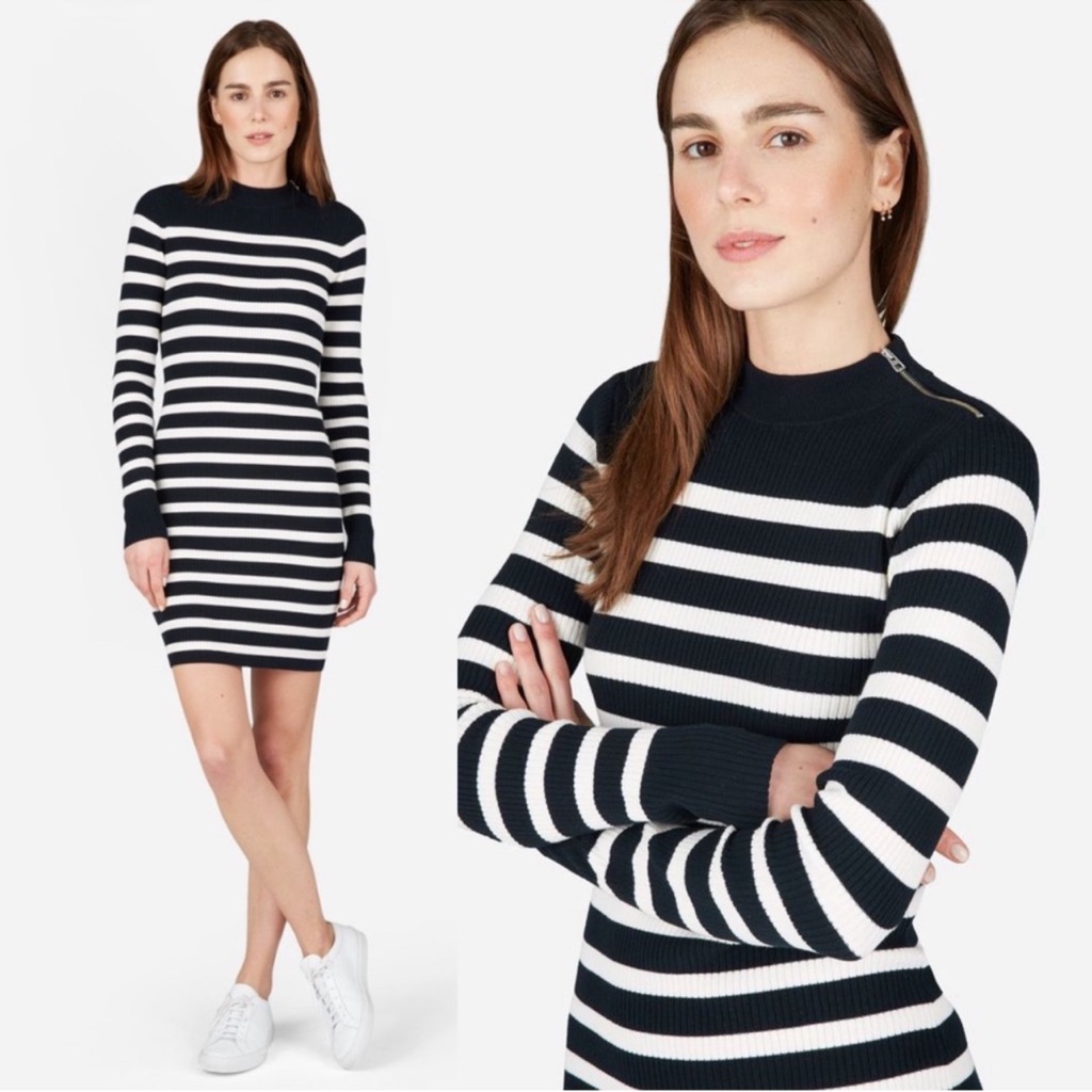 Everlane The Breton Ribbed Cotton Sweater Dress Pullover Striped Black White